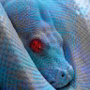 Meet your Posher, Gavin